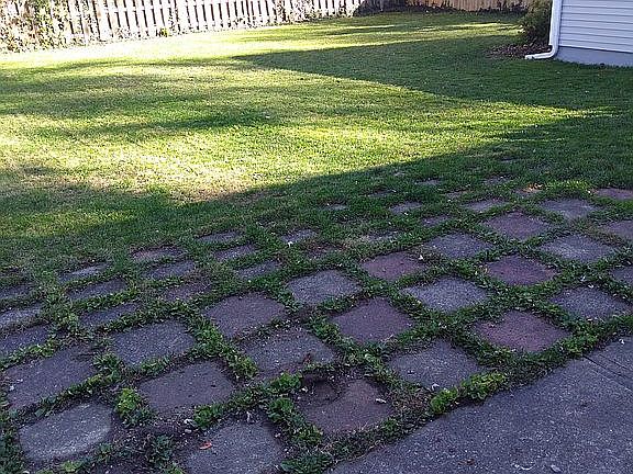 Fenced backyard