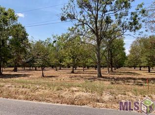 14191 A Poirrier Rd, Gonzales, LA 70737