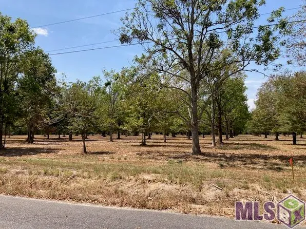 14191 A Poirrier Rd, Gonzales, LA 70737