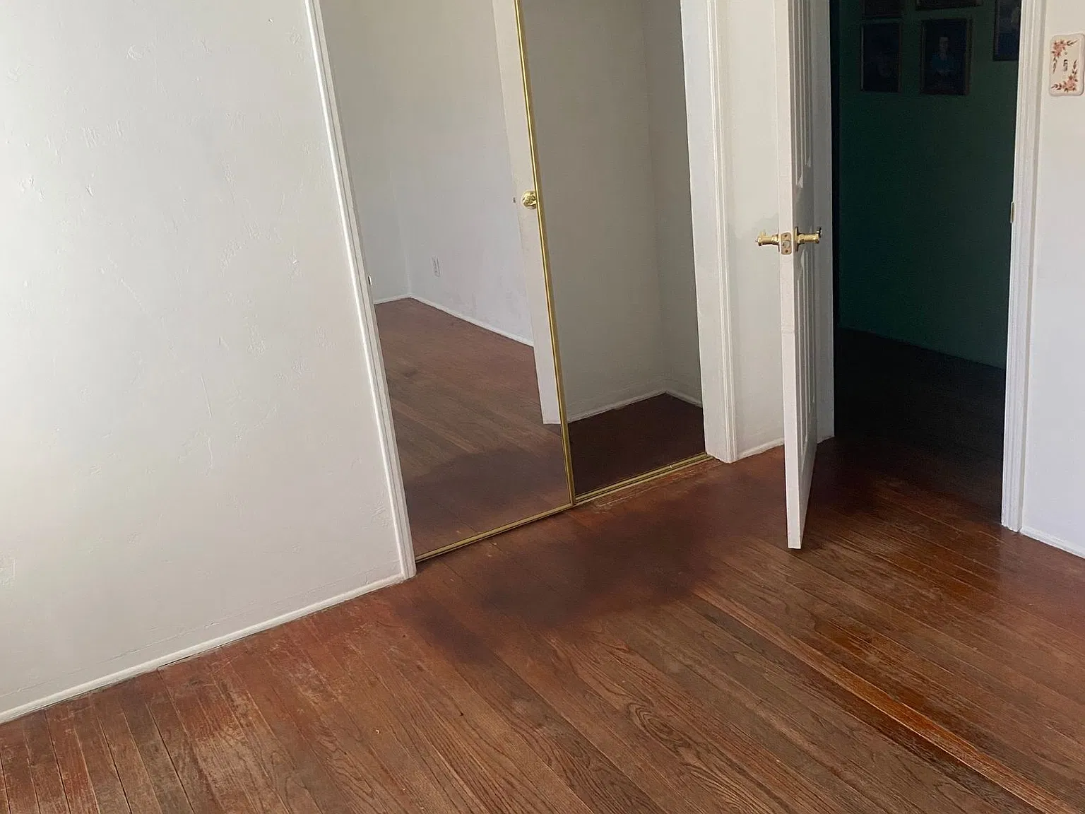 1 bed, $850 — Photo 4