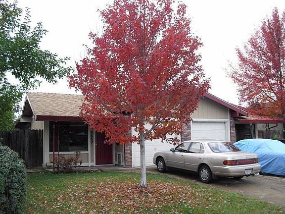 Front View in Fall