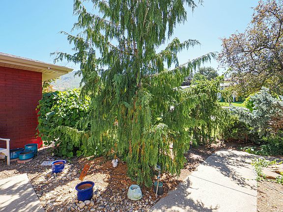 5th image of 2425 E Cinnabar Ln