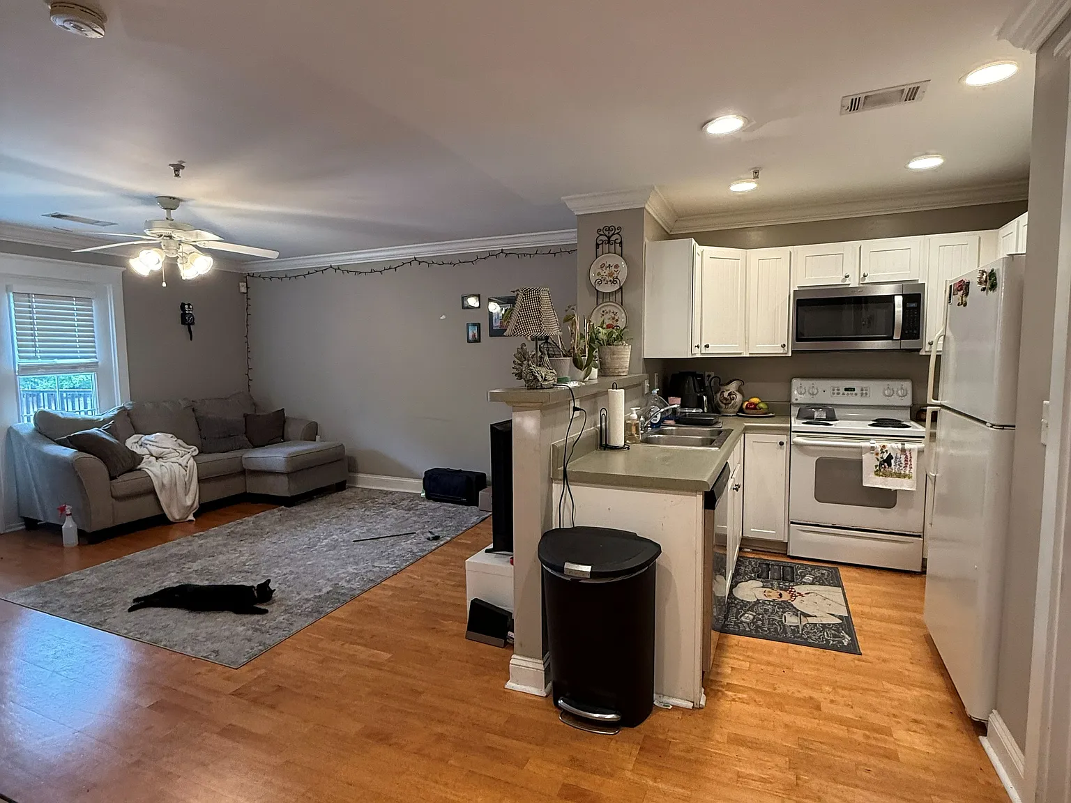 3 bed, 1406 sqft, $2,100 — Photo 3