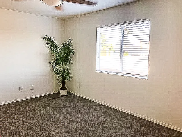 Carpet has been removed and this room now has LVT flooring.