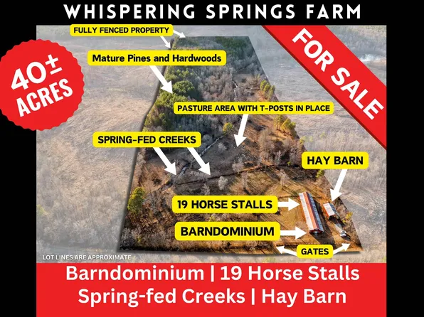 2885 McKay Rd, Delta, AL 36258