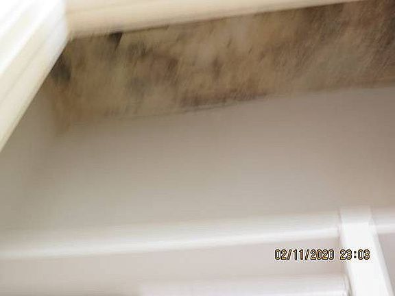 mold present on ceilings