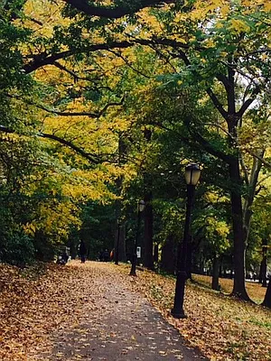 Rented by Immac Realty | media 31