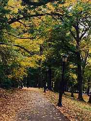 Rented by Immac Realty