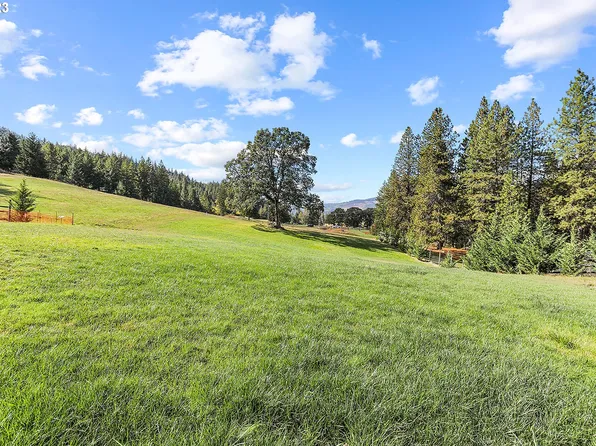 Amber L Dr, White Salmon, WA 98672