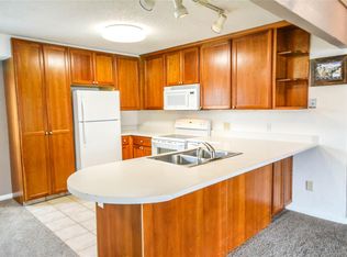 214 S Ridge St #2, Dillon, CO 80424