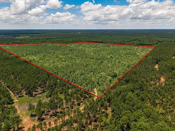 2nd image of PARCEL 12446 County Road 460