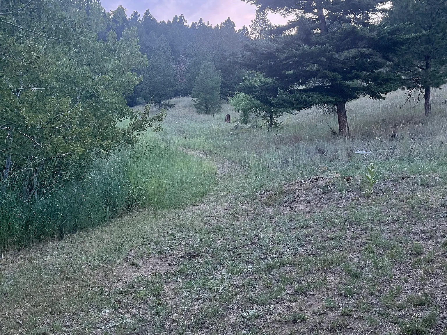 Studio, 624 sqft, $950 — Photo 3