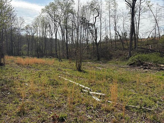 4th image of 706 Arwine Rd