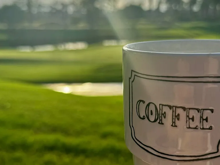 Merion — Photo 41
