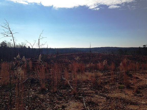 ga recreational land for sale, land for sale georgia