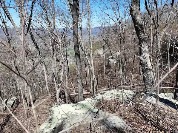 0 Bible Gulf Rd, Menlo, GA 30731