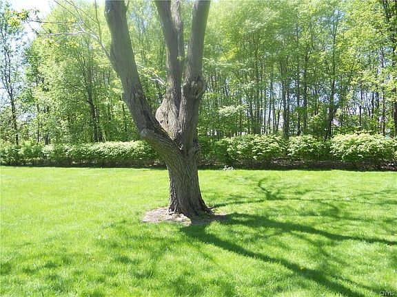 Two acre lot with privacy.
