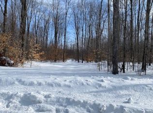 McConnel Rd, Curtis, MI 49820