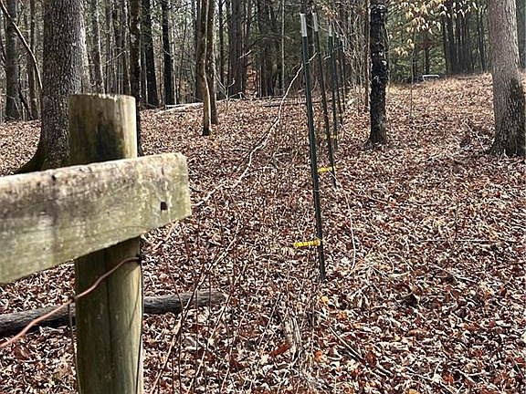 3rd image of 325 Everett Springs Rd NE