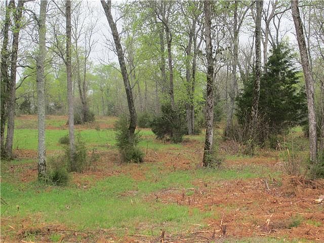 1st image of 2157 Paradise Dr