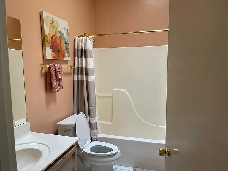 Guest bathroom