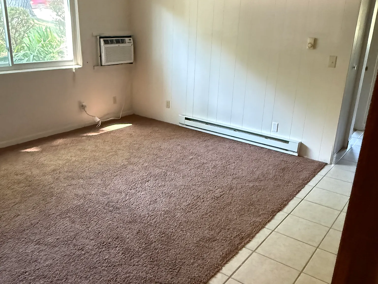1 bed, $850 — Photo 4