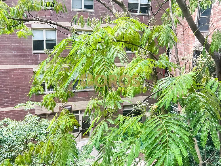 238 E 7th St #14 — Photo 8