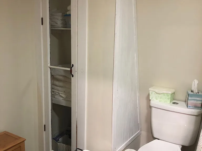 Toilet and Linen Closet