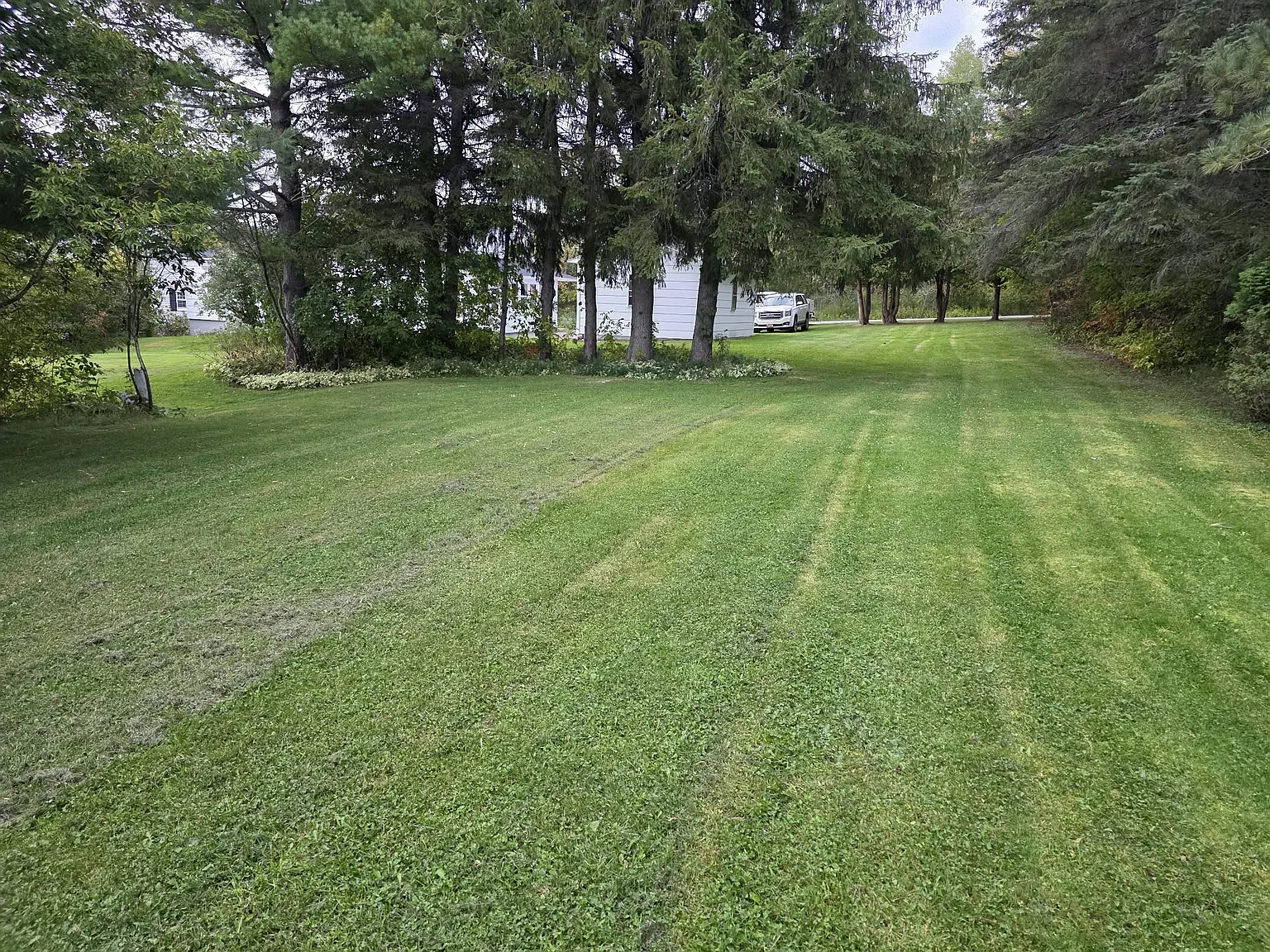 3 bed, 1189 sqft, $1,650 — Photo 3