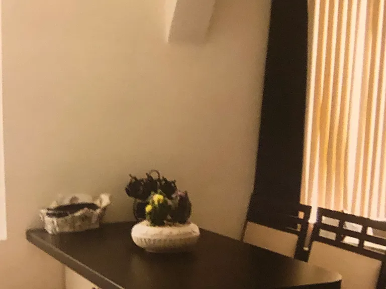 412 Hornel St #1 — Photo 6