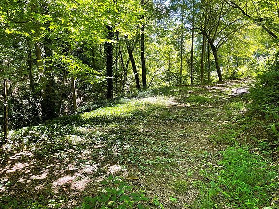 5th image of 1110 Pigeon Creek Trl