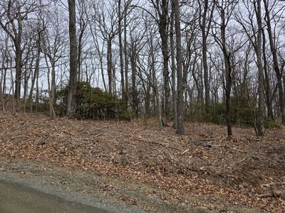 8 Edgeview Dr, Meadows Of Dan, VA, 24120