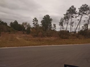 7261 Loblolly Ct, Weeki Wachee, FL 34607