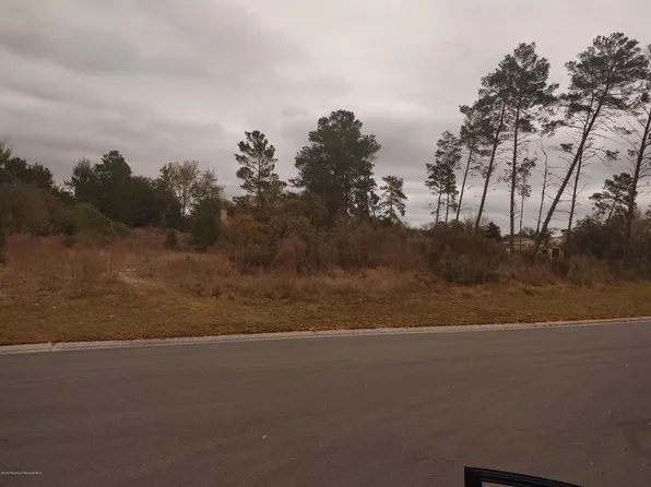 7261 Loblolly Ct, Weeki Wachee, FL 34607