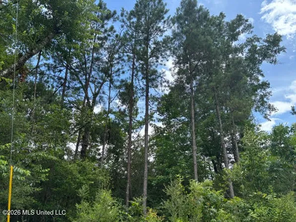 Lela Dr, Magnolia, MS 39652