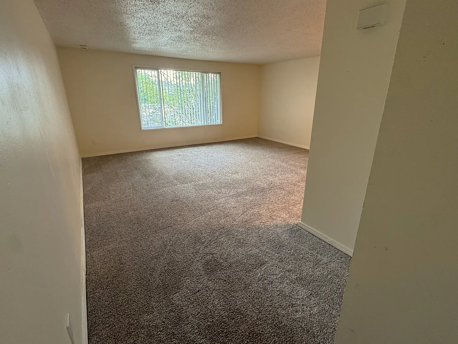 2 bed, 1.5 bath, 980 sqft, $1,399 — Photo 2