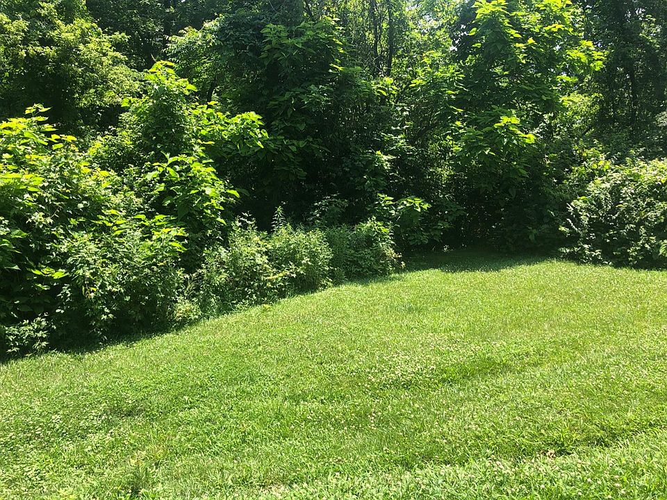1st image of 231 Hilltop Ln