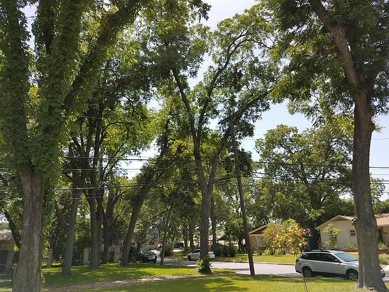 4505 Elwood Rd — Photo 2
