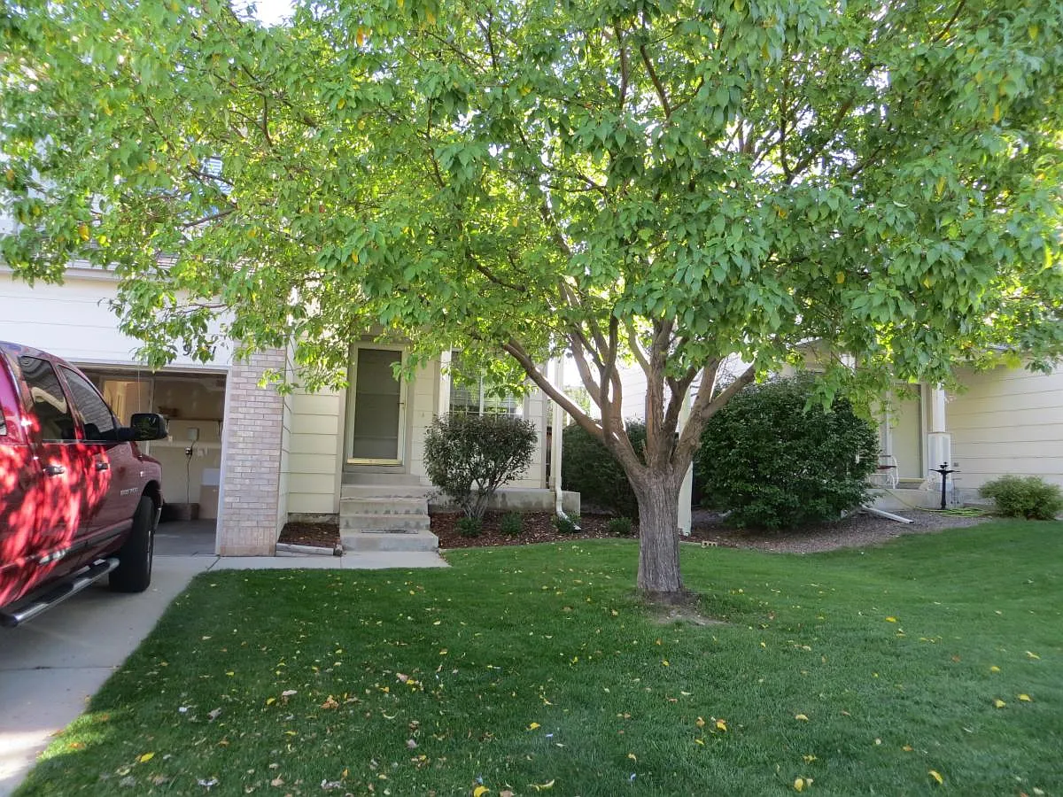 3 bed, 2.5 bath, 1416 sqft, $2,900 — Photo 2