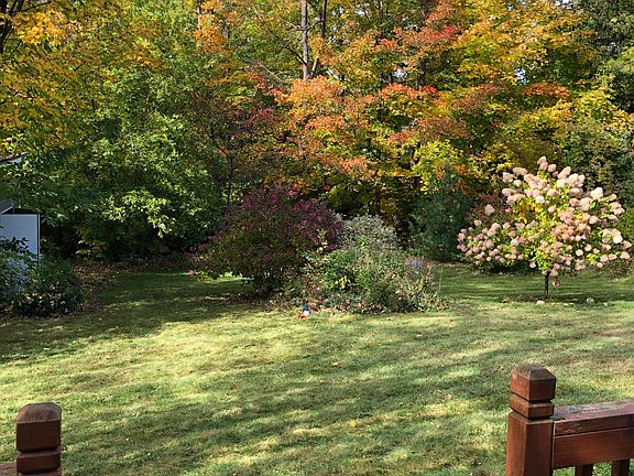 Backyard in the fall
