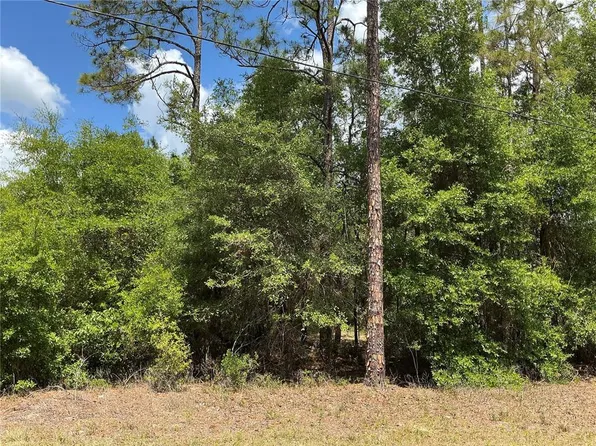 Guava Pass Dr #2, Ocklawaha, FL 32179