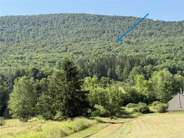 0 Roses Brook Rd #3, Hobart, NY 13788