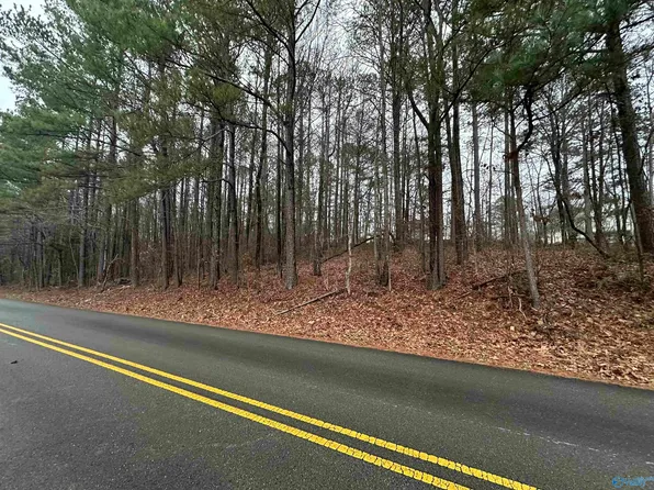 3 Pine Lake Trl NW, Arab, AL 35016