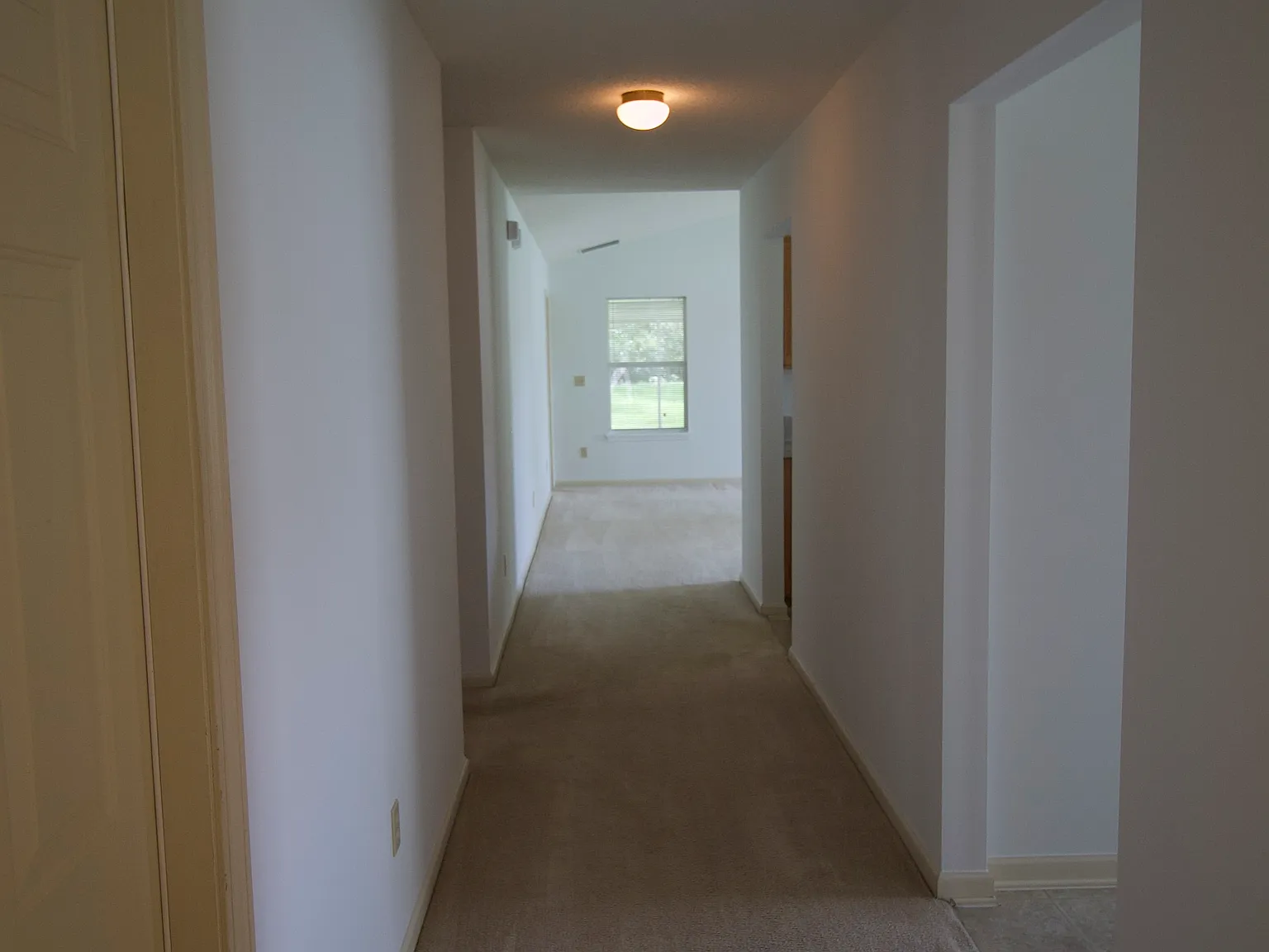 3 bed, 1756 sqft, $2,245 — Photo 4