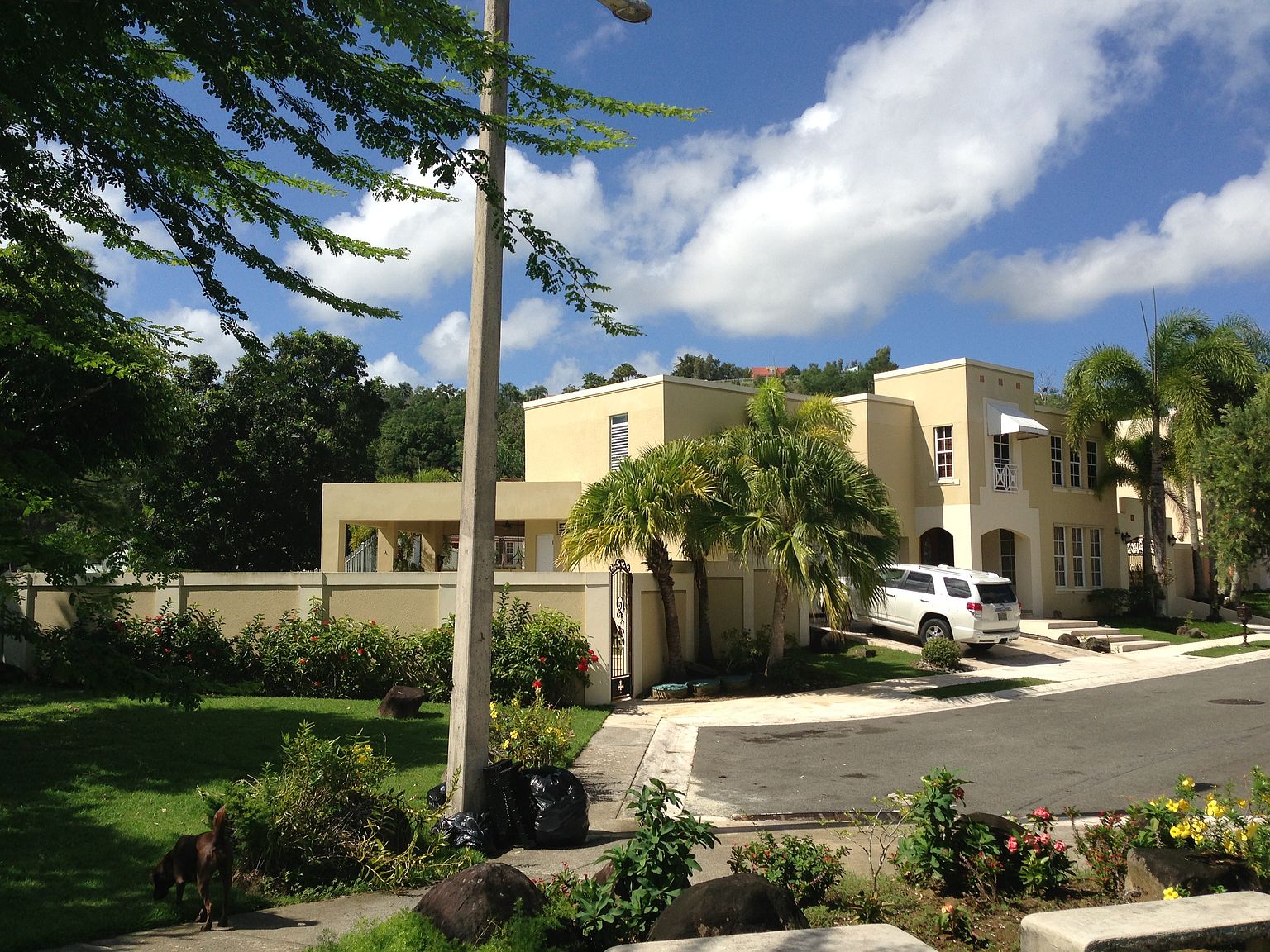 Le 97 Via Paris L'antigua Encantada, Trujillo Alto, PR 00976 Zillow