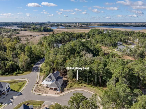 109 Holly Berry Ct Lot 19, Wilmington, NC 28401