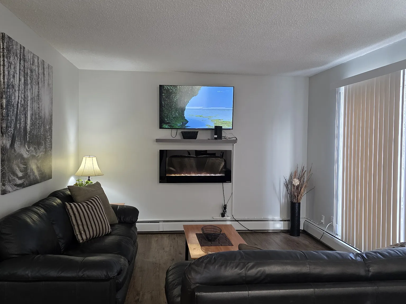 2 bed, 740 sqft, $2,095 — Photo 2