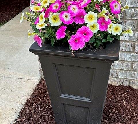 4th image of 2520 Rutherford Dr