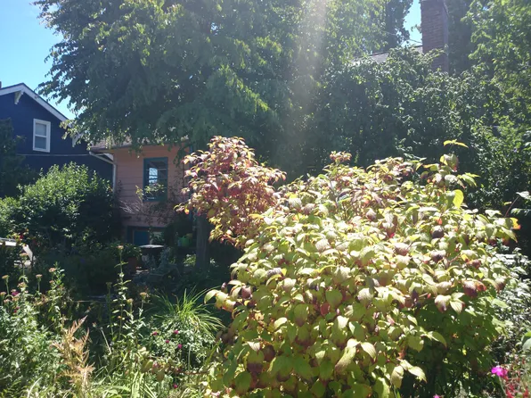 1143 NW 59th St, Seattle, WA 98107