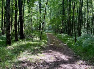 23266 Hayes Rd, Big Rapids, MI 49307